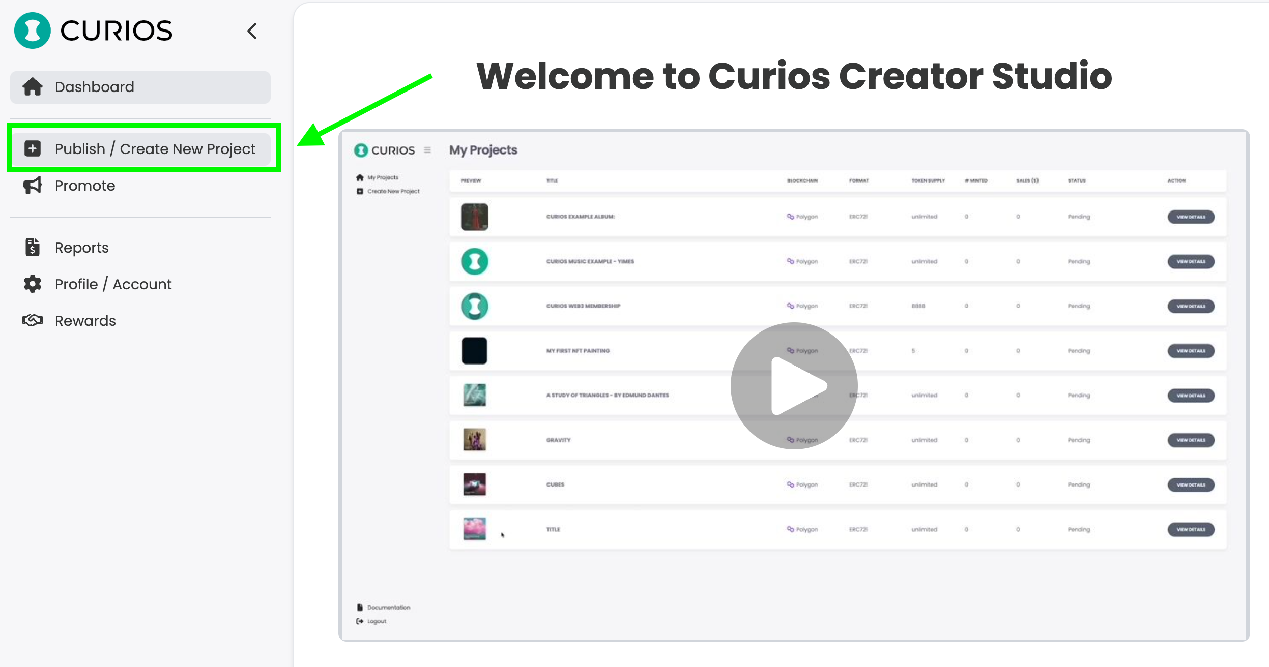 Publish button in left menu